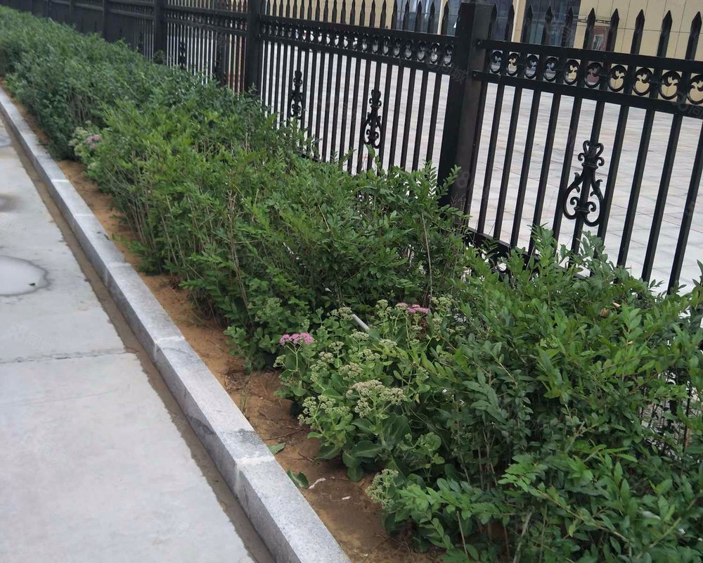 【绿丰园, 绿丰园小区详情,房价走势,房源,业主论坛】- 榆林58同城