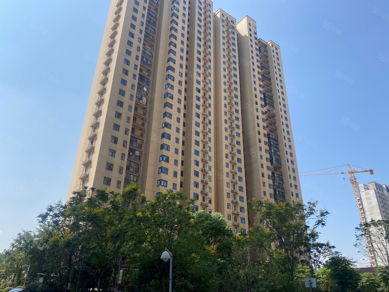 智苑小区3室2厅2卫114.25㎡南北110万