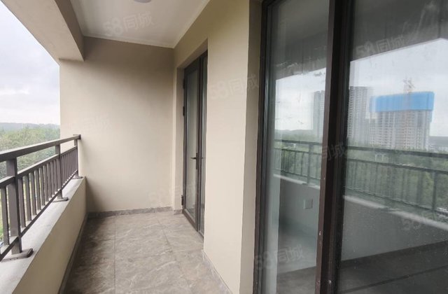 新一中外国语    新出3室2厅新房未住湖语上院摩天轮正南，