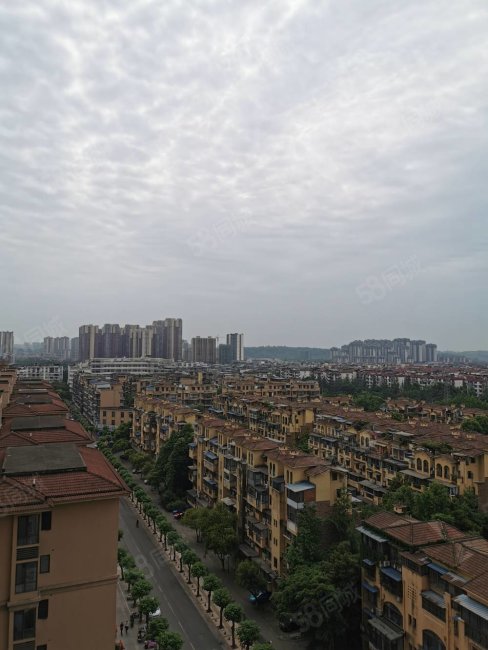 领地凯旋广场3室2厅2卫105㎡南北53.8万