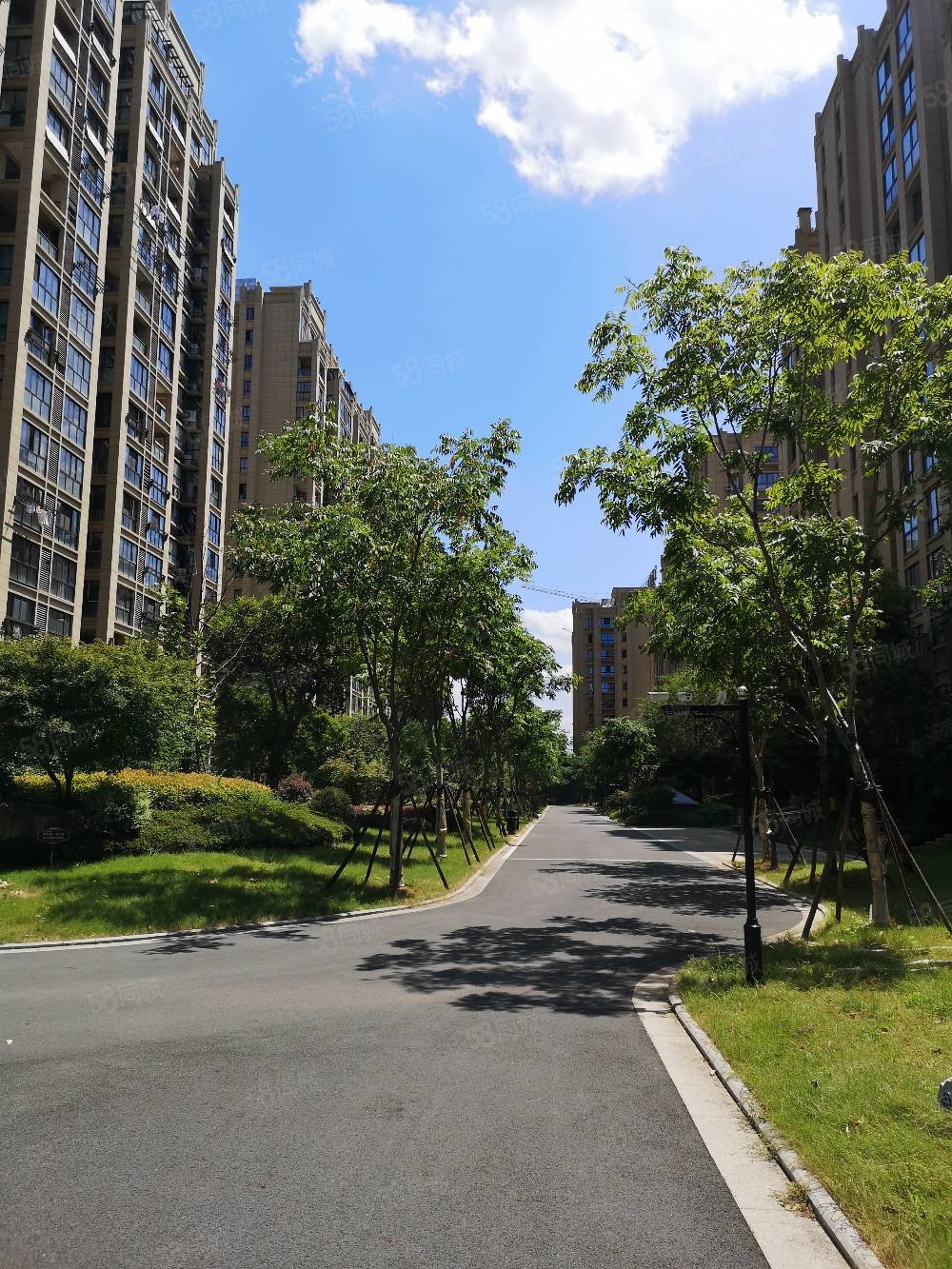 金报御园4室2厅2卫145㎡南180万