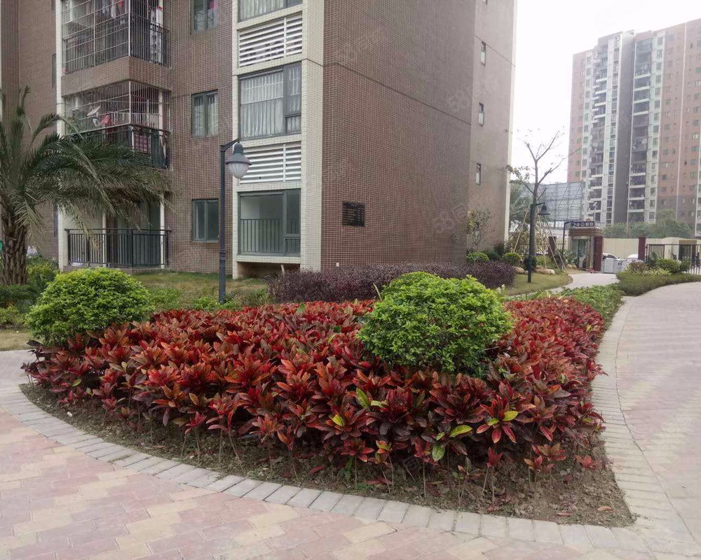 【联诚智博花园, 联诚智博花园小区详情,房价走势,房源,业主论坛】