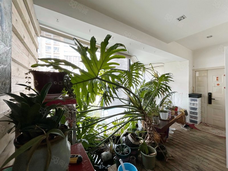 万达广场旁精装修跃层5室一梯两户南北通透环境优美绿化好