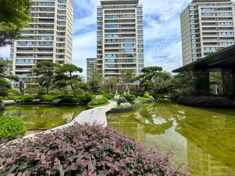 五十万一  西北高档小区青山澜岛二期小高层中层好房型现房