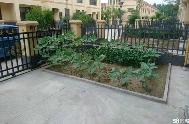 逸墅家 前后院硬化送边廊另可种菜，全屋地暖精装修，可伶包入住