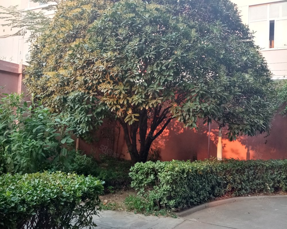 【丽华小区, 丽华小区小区详情,房价走势,房源,业主论坛】- 新乡58