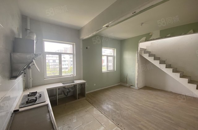 海德公园,电梯洋房,45复式,带车储,带60平露台,免大税