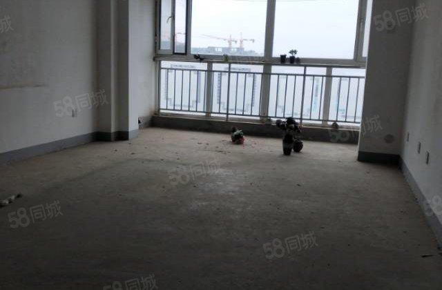 文轩   一中   外国语   新东方龙湾免大税带储藏室