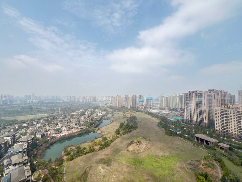 全部敲掉自己搞的轻奢装修全屋智能,晋合湘水湾(一二三期)-株洲58同城