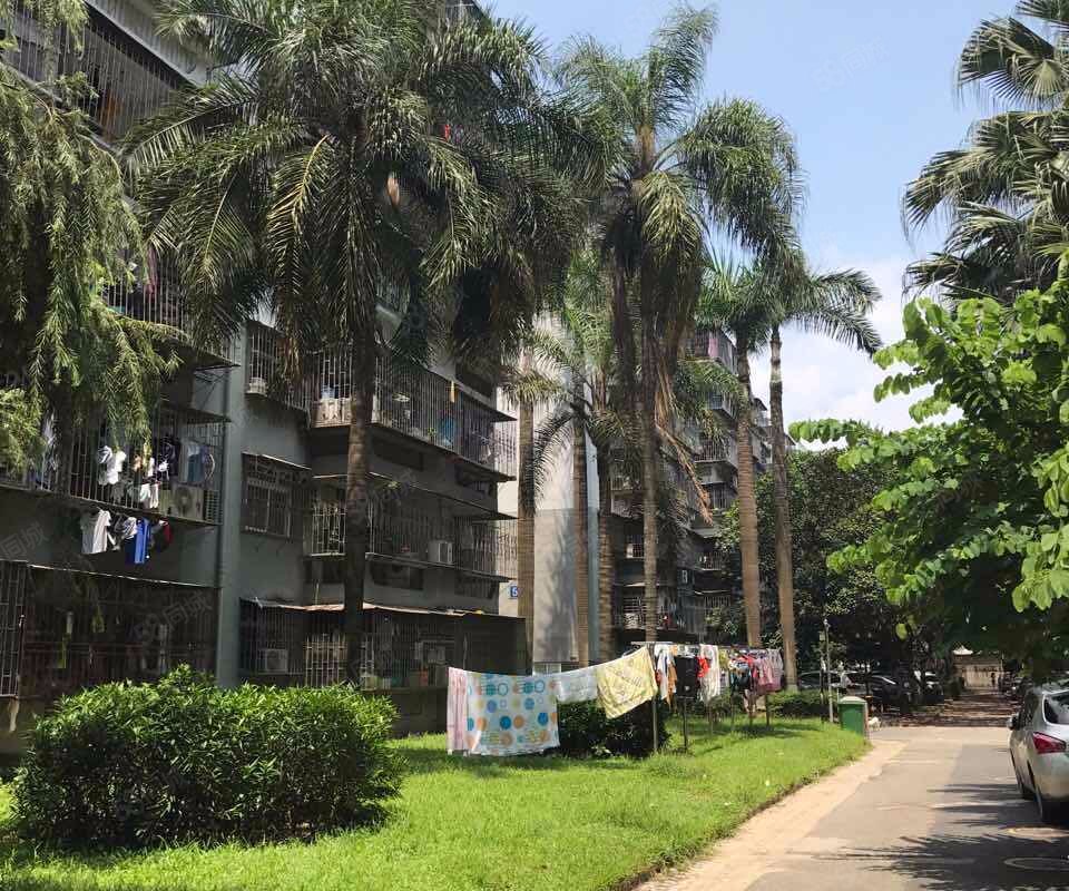 【红荔村住宅区, 红荔村住宅区小区详情,房价走势,房源,业主论坛】