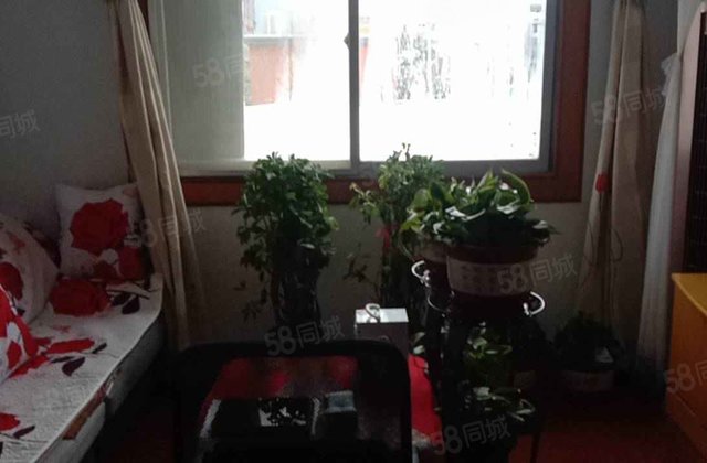 向阳路社区2室1厅80㎡18.3万二手房图片