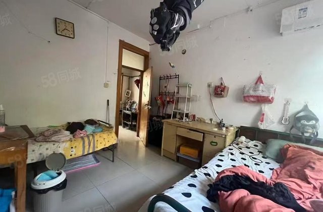 39万人民公园，孝心一楼，有50平大院子