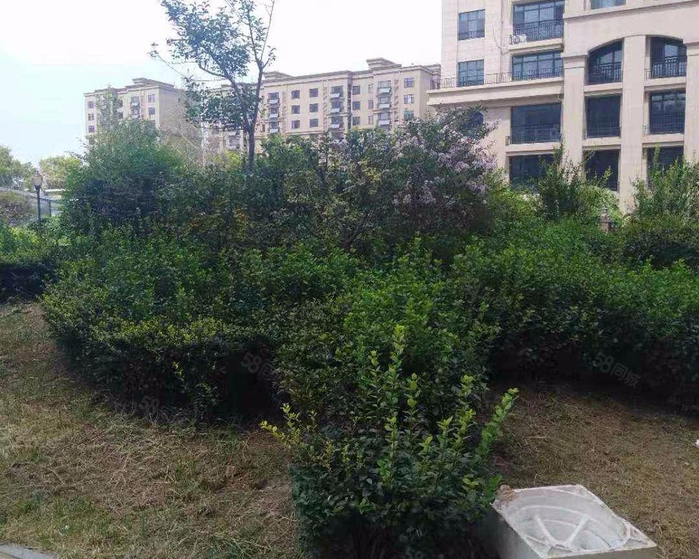 【凡尔赛花园, 凡尔赛花园小区详情,房价走势,房源,业主论坛】- 寿光