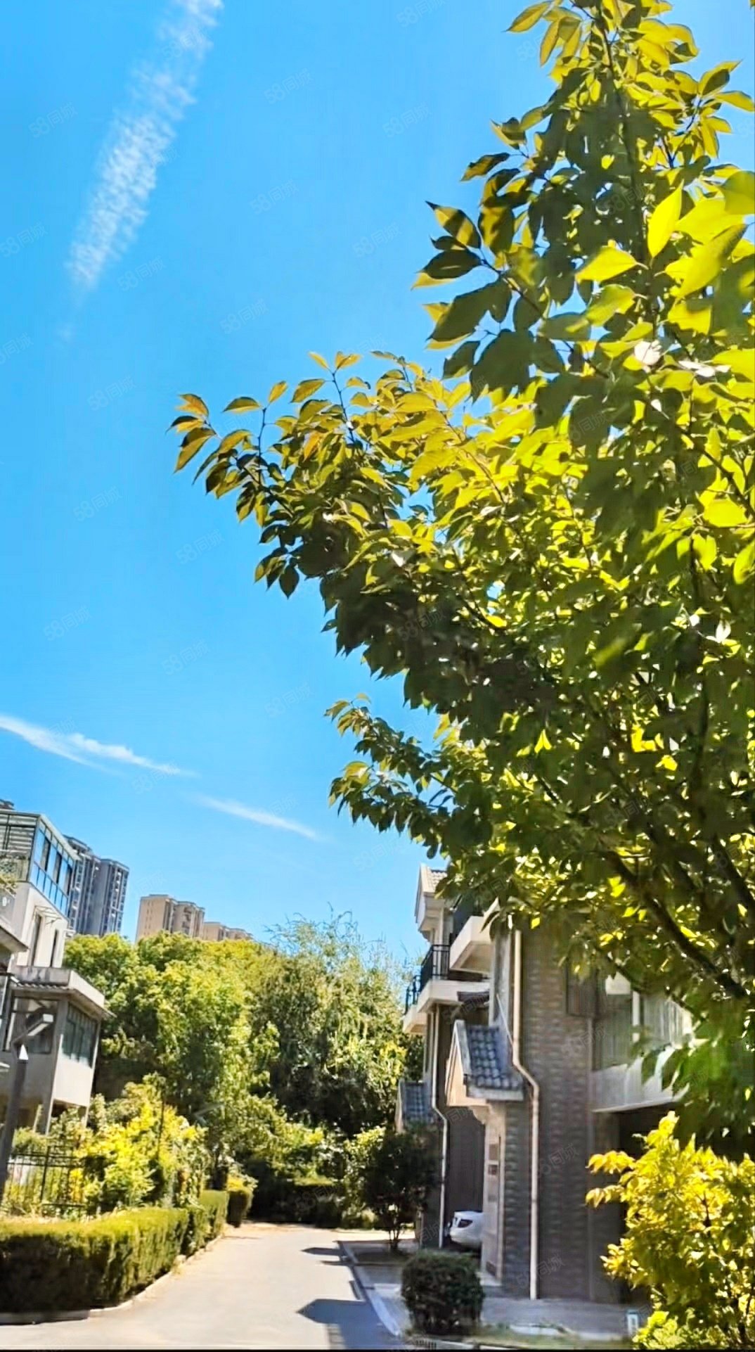 恒达盘龙湾竹苑4室2厅2卫200.19㎡南220万