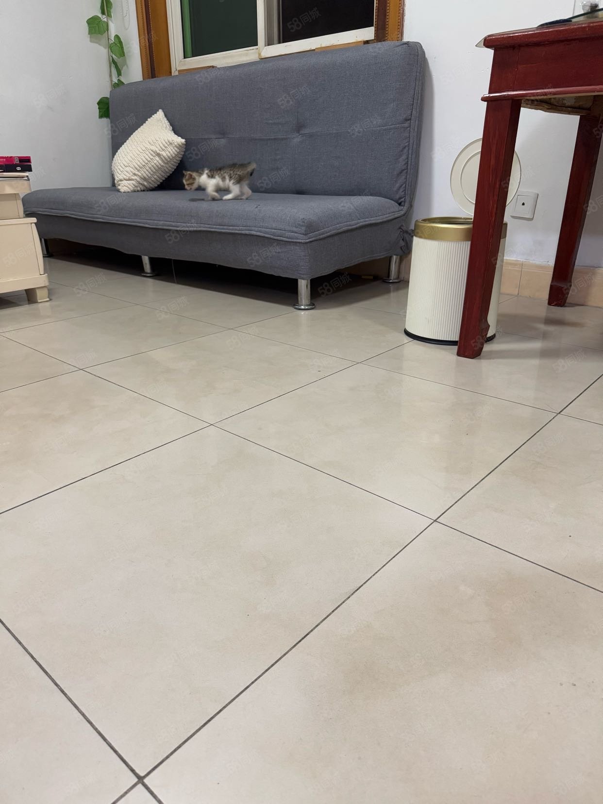 化肥厂宿舍(巢湖)2室1厅1卫67.75㎡南15万