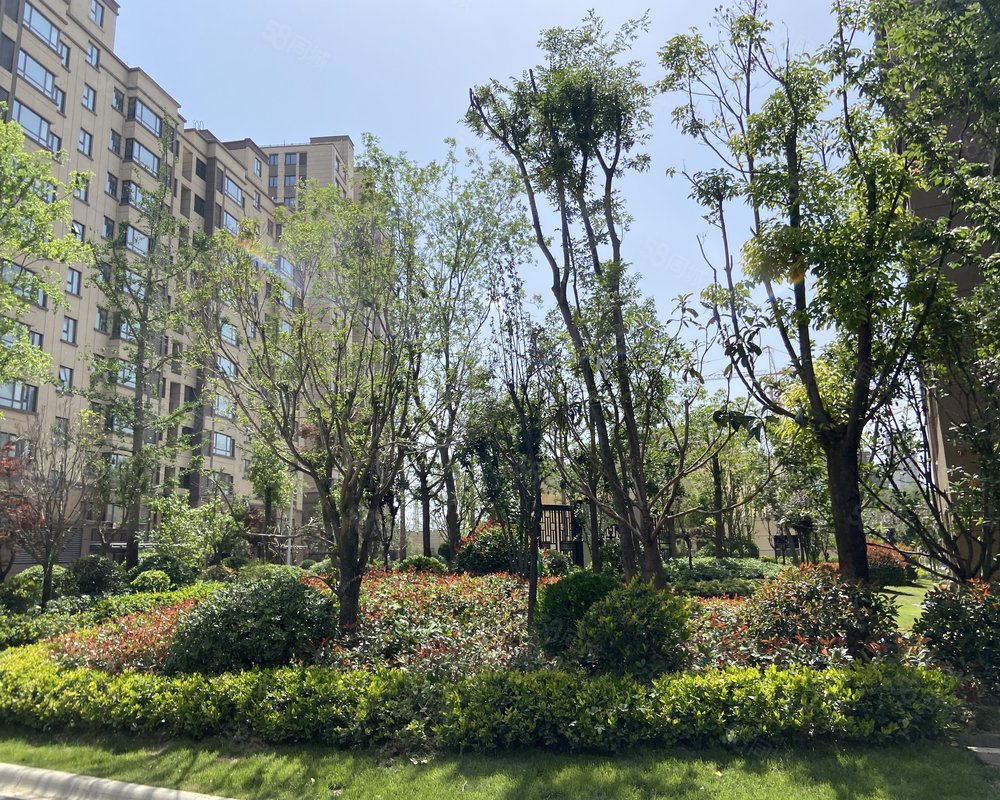 【南湖公馆, 南湖公馆小区详情,房价走势,房源,业主论坛】- 商丘58