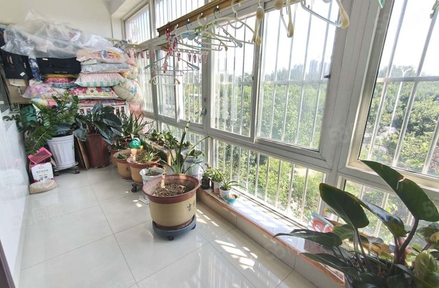 桐凤凰家园 三室朝阳  前排还有小公园 低楼层