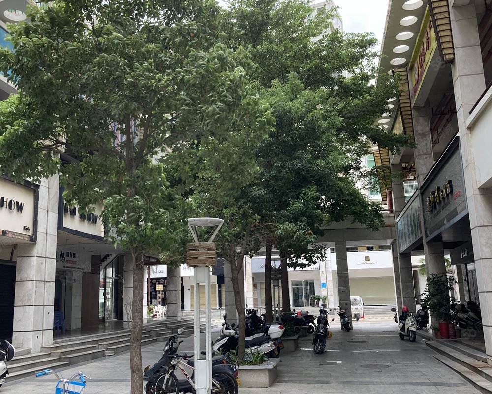 石狮市步行街d区