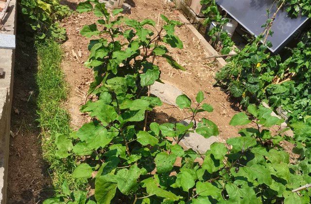 一楼带院！！房东急售！送车位储藏室！海源丽都，海润公园