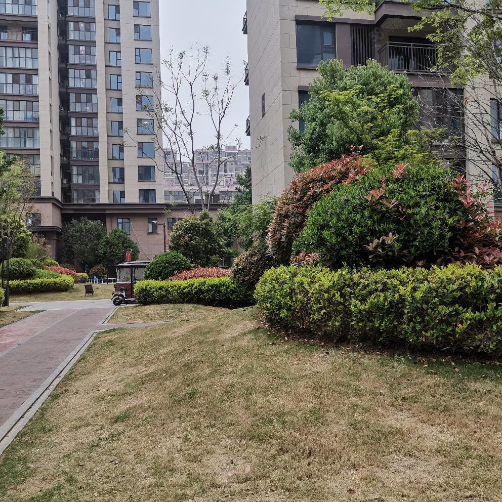 建业春天里(项城)3室2厅2卫132㎡南北80万