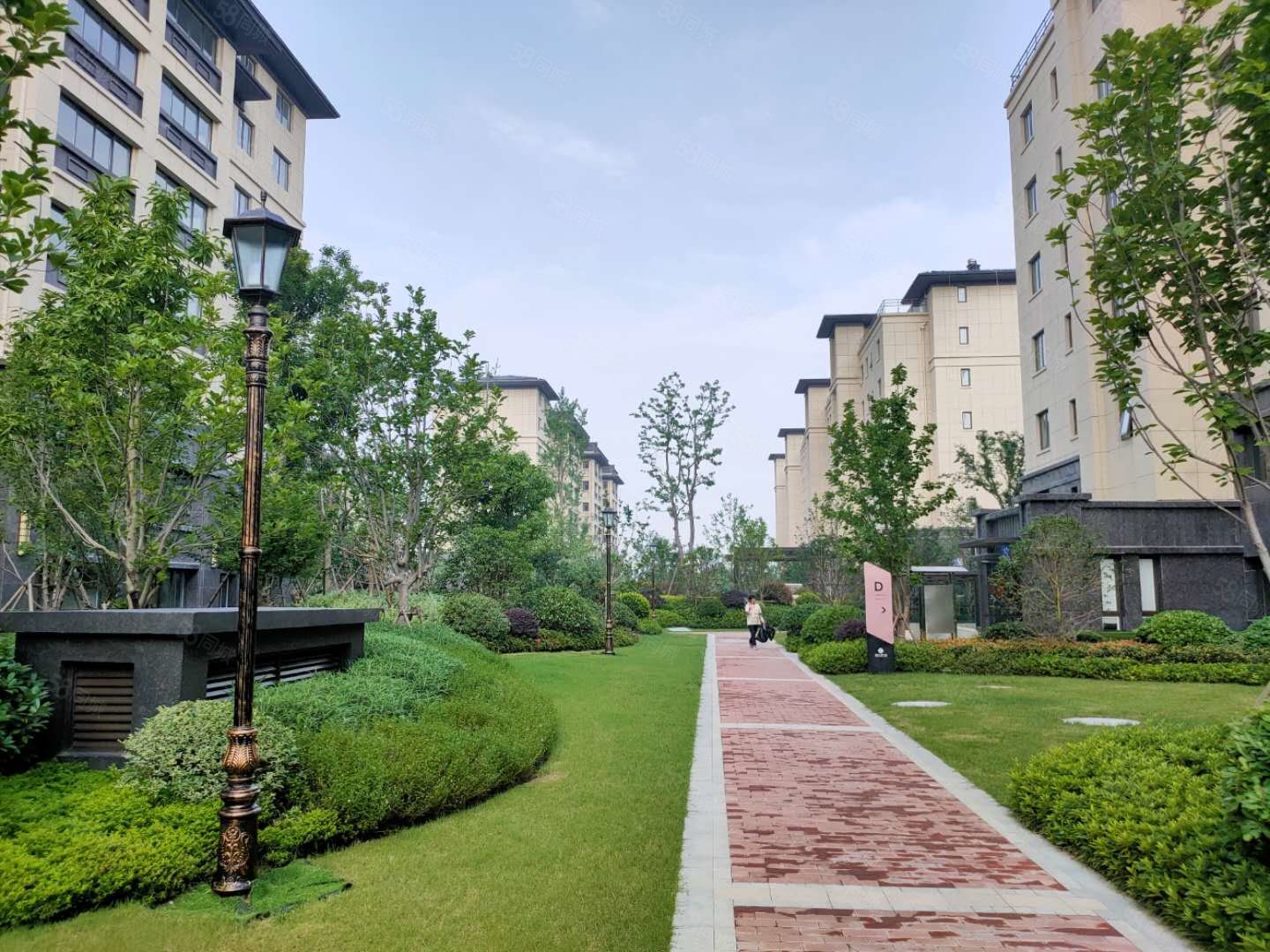 奥体紫兰园,纯洋房精装修社区,三恒技术,恒温,恒湿,恒氧