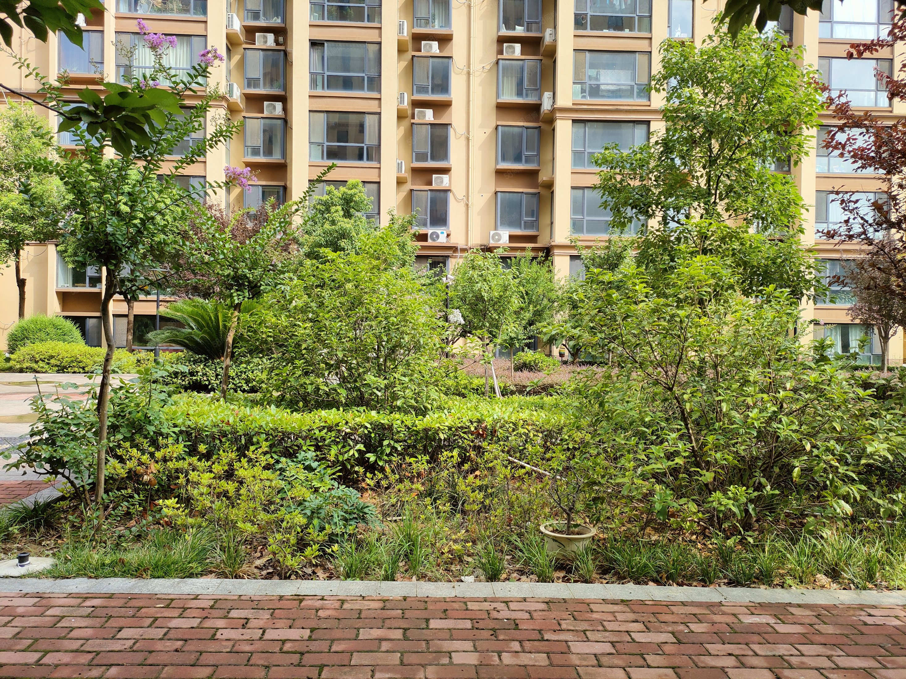 美河景房 金桥水岸 东区新15小龙达新市政府旁,金桥水岸-南阳58同城