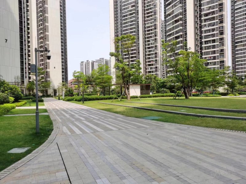 东湾三期,江景精装未住过4房,南北通透,拎包入住,保利东湾-茂名58同城