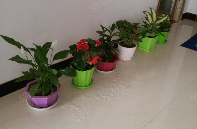 金源国际2室2厅88㎡40万二手房图片