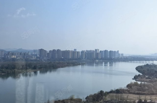 遂宁花园未来城4室2厅142.1㎡63.8万二手房图片
