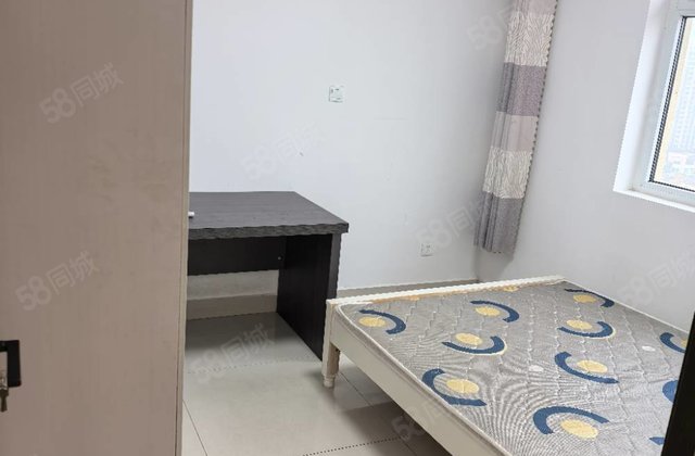 文轩范围新小区电梯房好楼层精装，七十三wan看房提前约