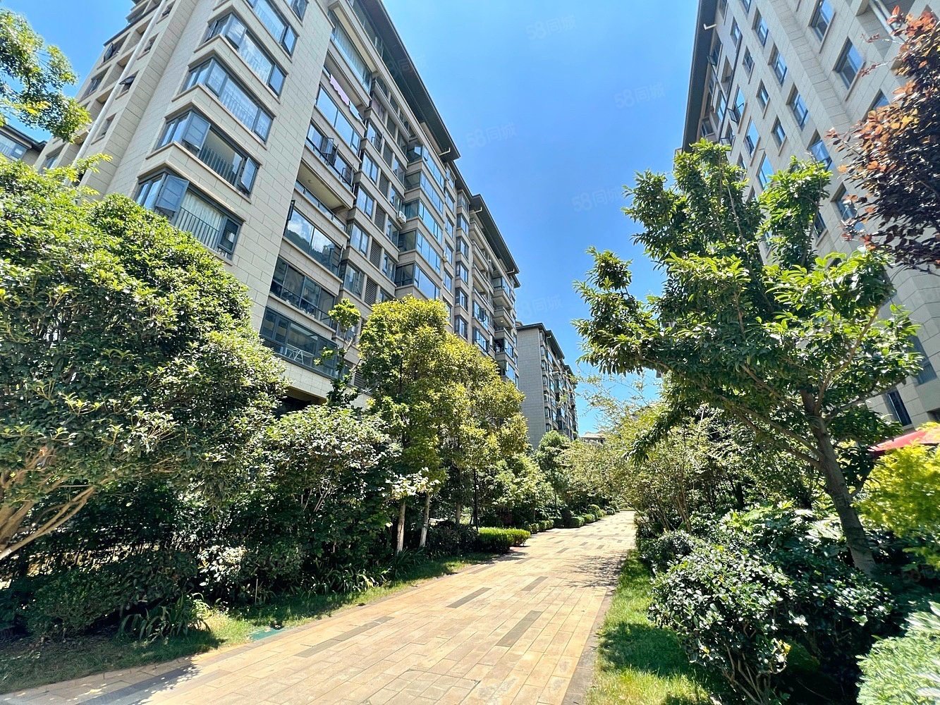 业主急售滇池会展中心旁招商海公馆低密度电梯洋房近地铁