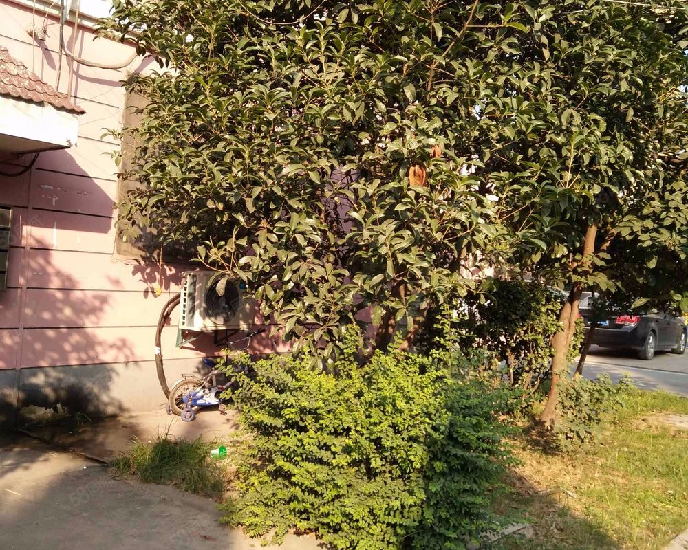 【独秀园小区, 独秀园小区小区详情,房价走势,房源,业主论坛】- 合肥