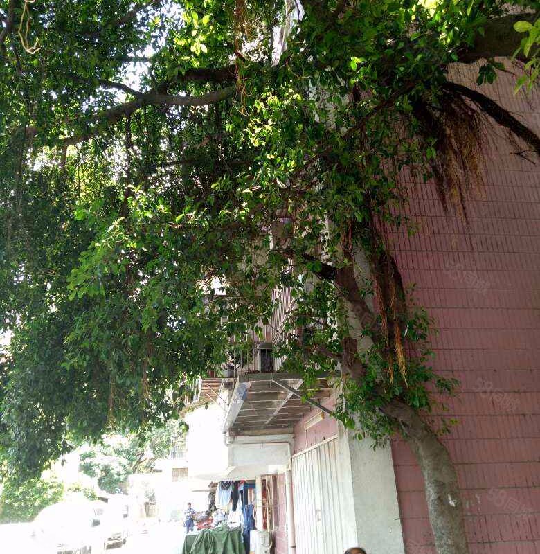 【宝海花园, 宝海花园小区详情,房价走势,房源,业主论坛】- 深圳58