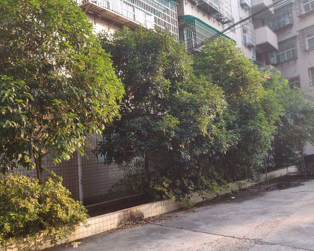 【怡心花园, 怡心花园小区详情,房价走势,房源,业主论坛】- 衡阳58