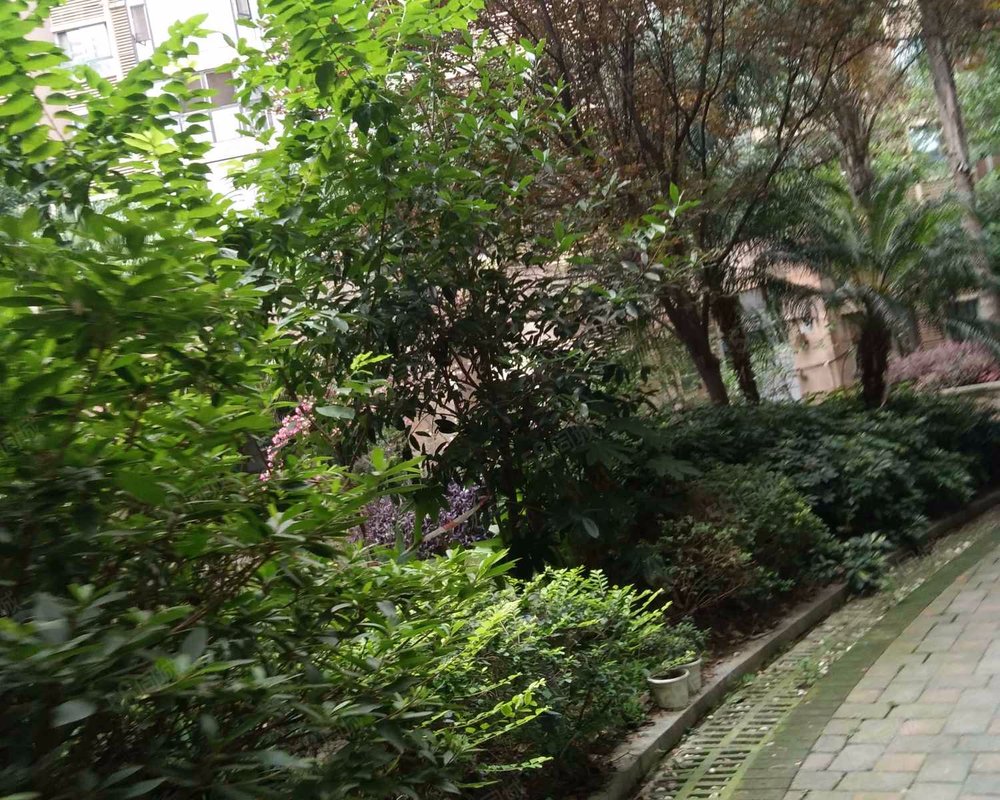 【蓝岸丽景, 蓝岸丽景小区详情,房价走势,房源,业主论坛】- 成都58