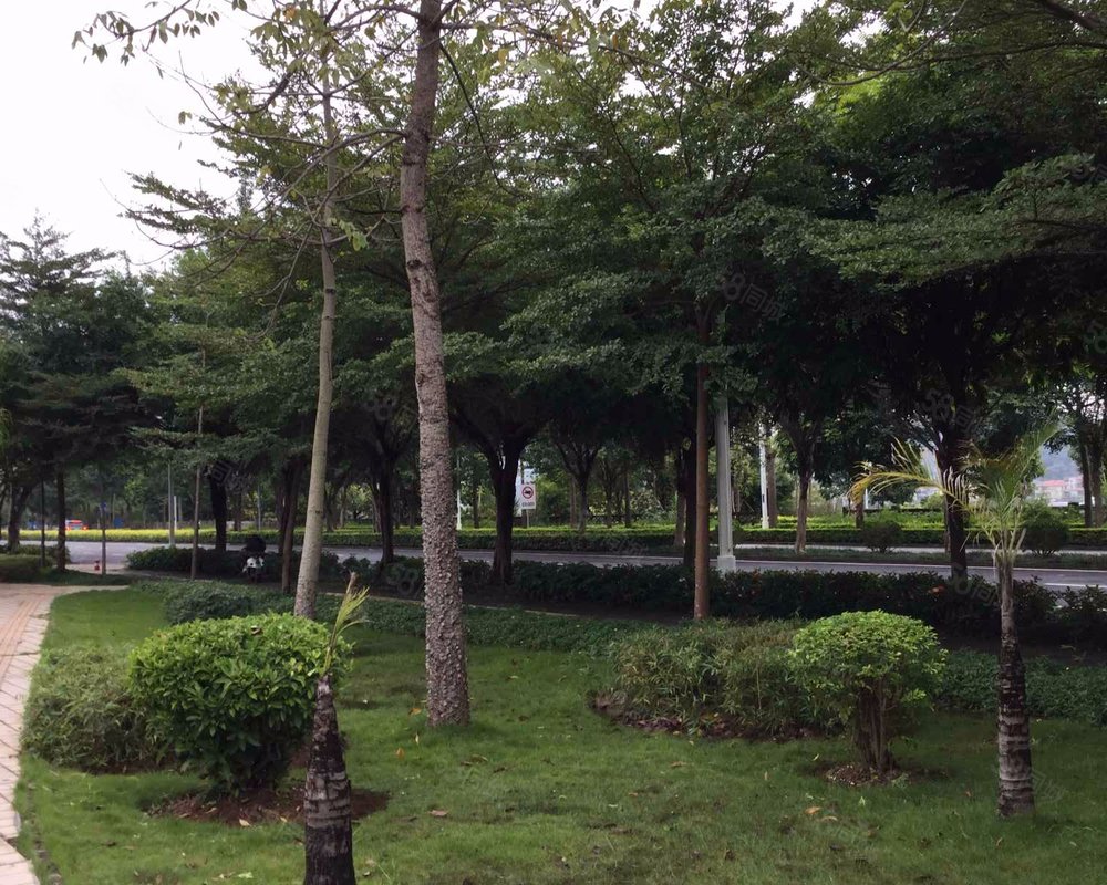 柳沙三兴花园小区详情,房价走势,房源,业主论坛】- 南宁58同城