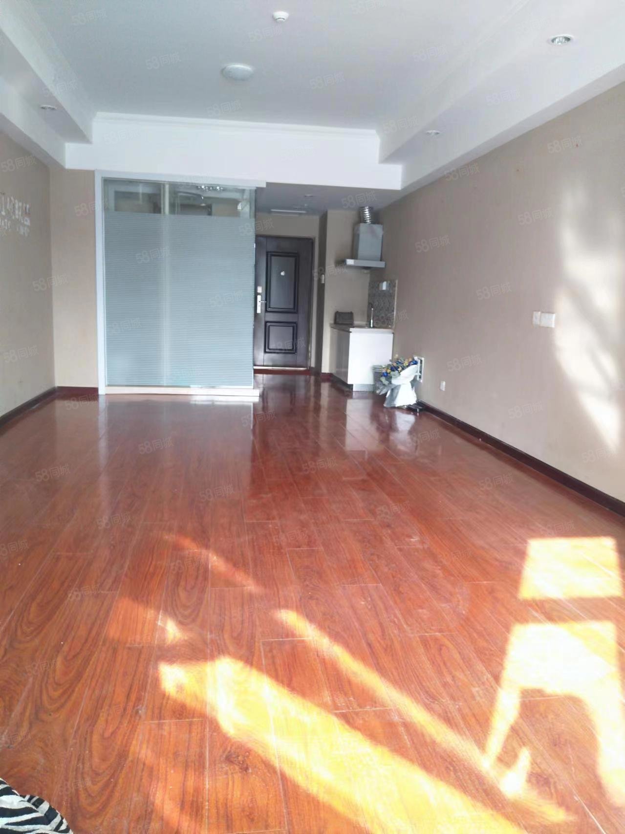 万达广场1室1厅1卫60㎡北50万