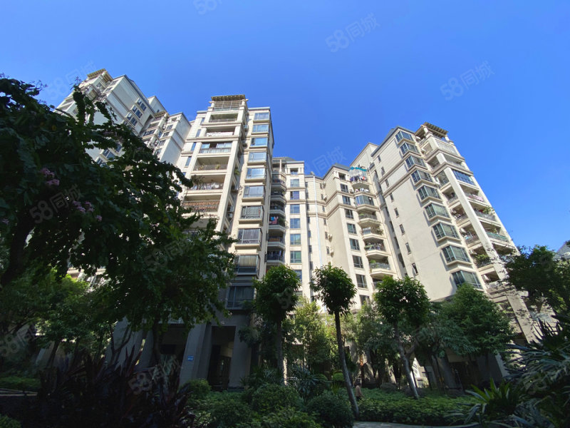 (笋盘急售)怡翠馨园电梯大三房 单价1万8 方便看房