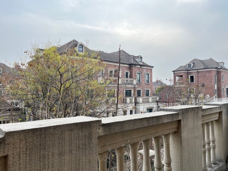 【10图】岭秀山南 629大双拼 户型 性价比超高,岭秀山南(别墅)-淮南58