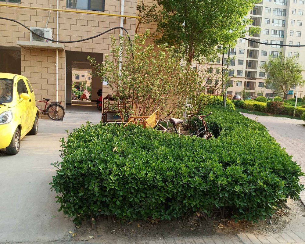 【金柱绿城, 金柱绿城小区详情,房价走势,房源,业主论坛】- 聊城58