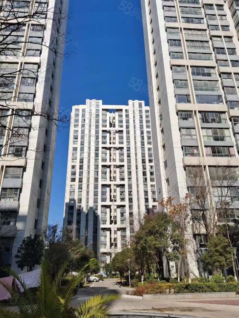 两梯两户,143平四室,证在手满2年,户型方正,阳光上城-曲靖58同城