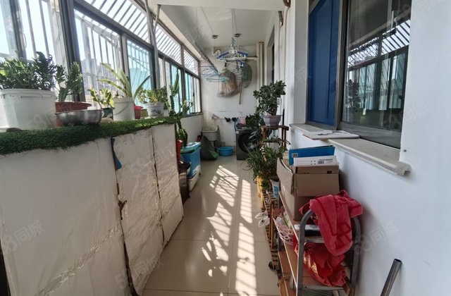 房东急售！花园路 五中 光明 党校家属院 南北通透 出行方便