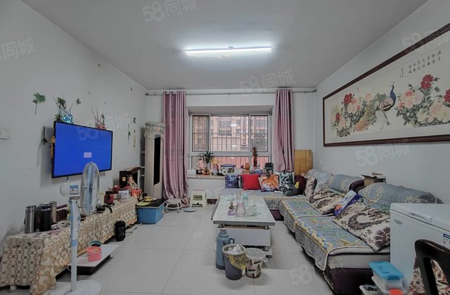 急售 翡翠城    带储  先锋社区 明康康盛园 星光璟园