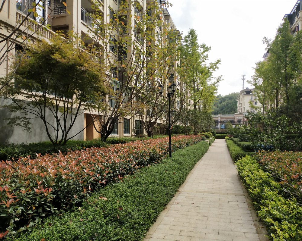 【中梁望府, 中梁望府小区详情,房价走势,房源,业主论坛】- 衢州58