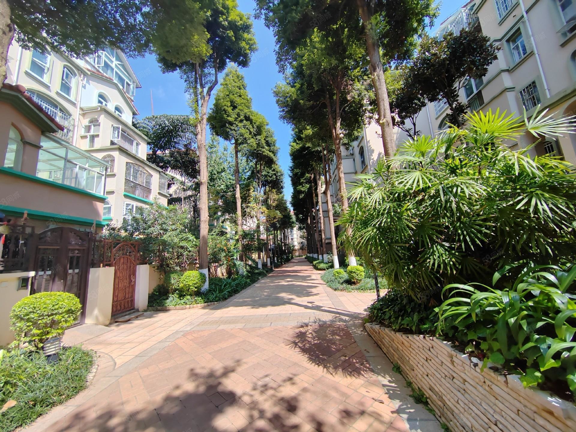 云大旁体育城3期退台花园洋房2楼带超大露台户型方正