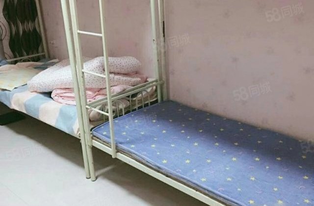 聊大西苑可贷款划文轩一中外国语八中送储房东直卖