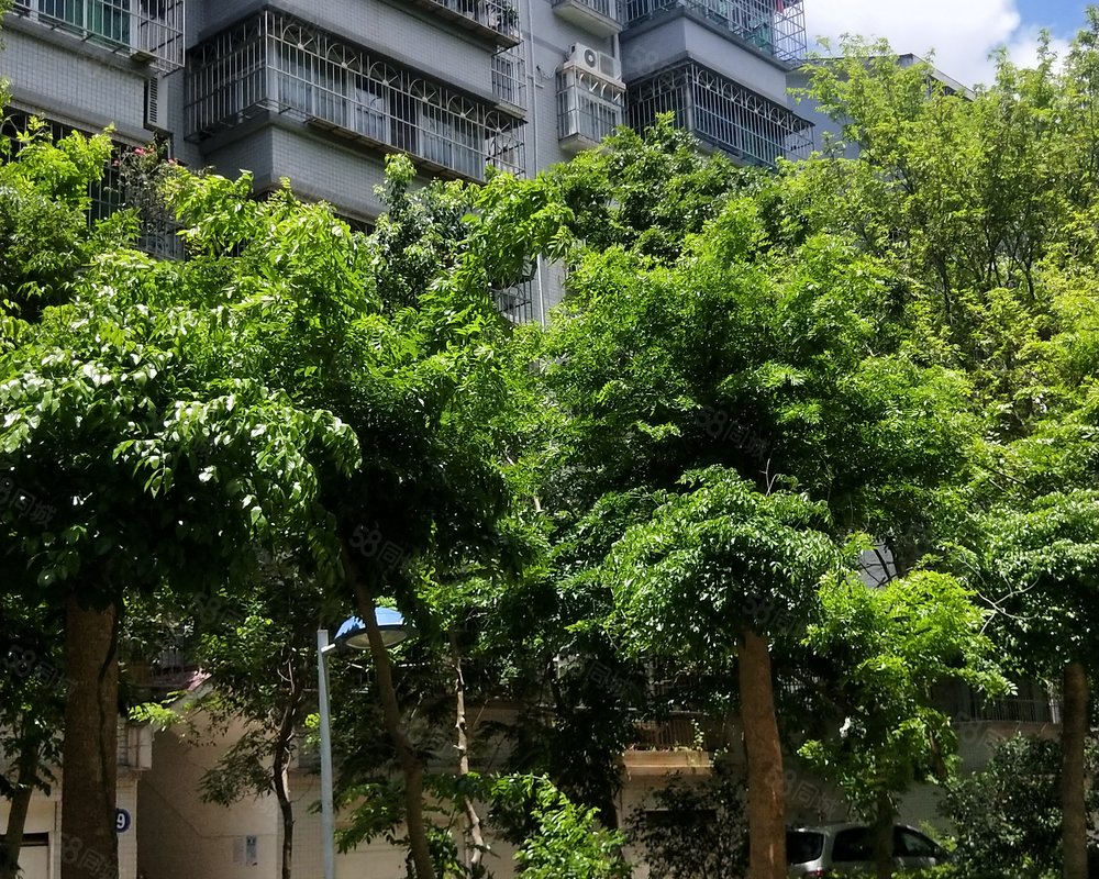 【海盛花园, 海盛花园小区详情,房价走势,房源,业主论坛】- 海口58