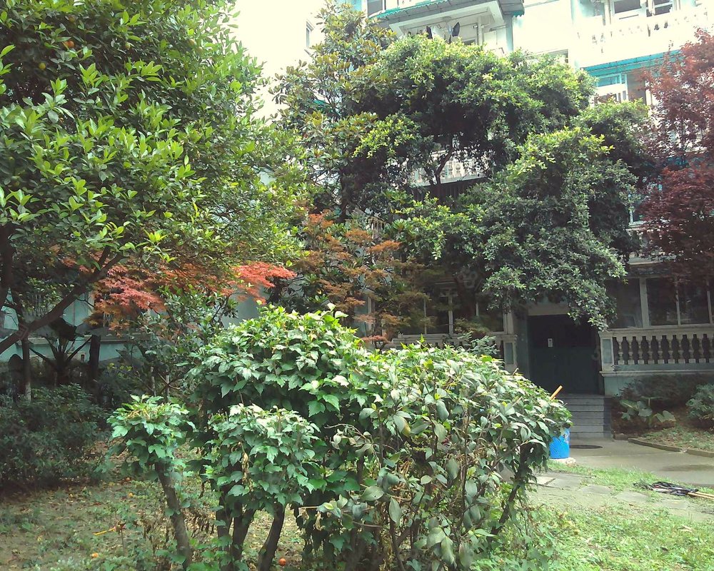 【翠堤春晓, 翠堤春晓小区详情,房价走势,房源,业主论坛】- 成都58