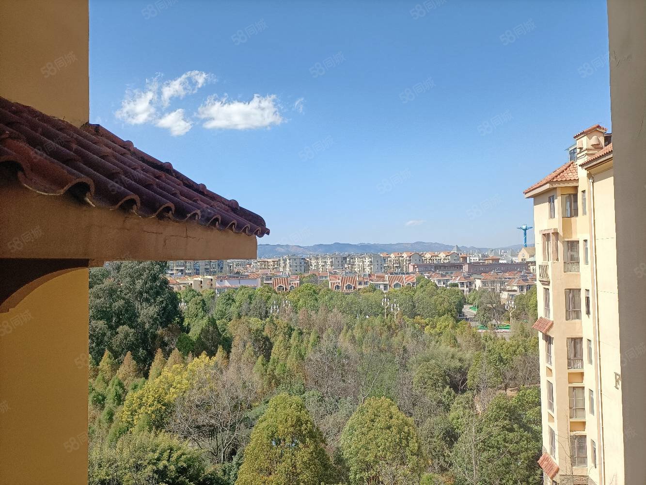 度假区公园1903联排端头别墅带花园户型方正采光好