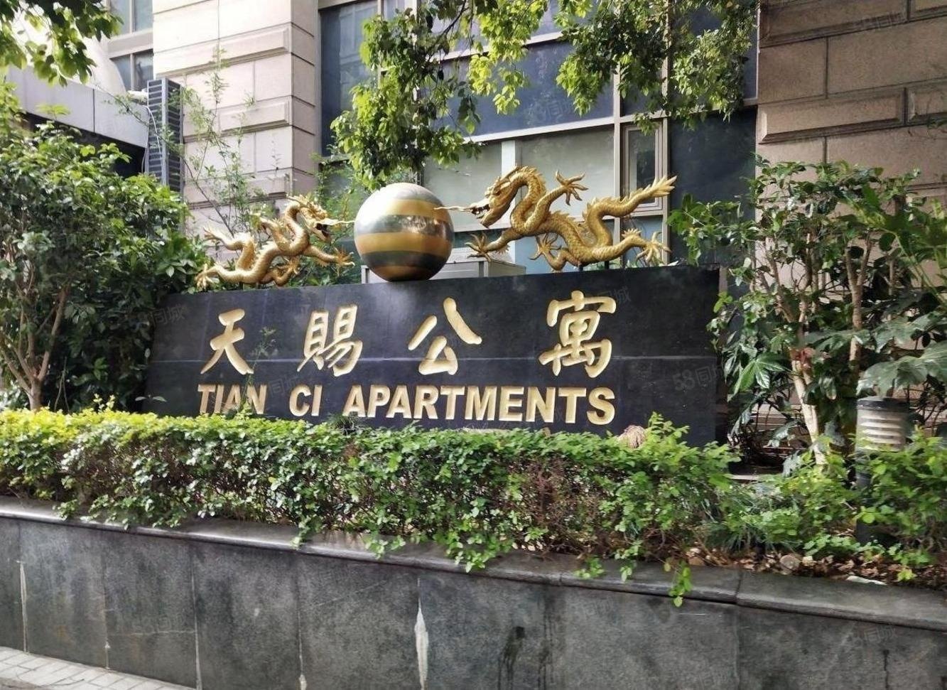 天赐公寓2室2厅1卫80㎡南北367万